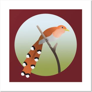 Squirrel cuckoo Posters and Art